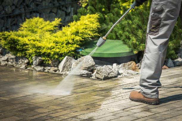 Best Winterizing Services  in Maple Park, IL
