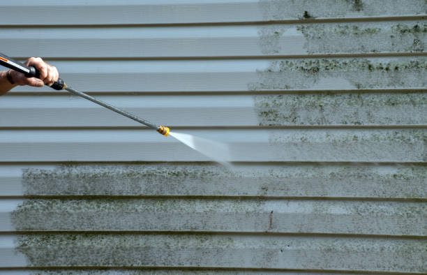 Solar Panel Cleaning in Maple Park, IL